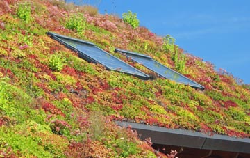 Owlthorpe living roof systems