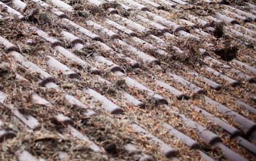 Owlthorpe roof cleaning companies